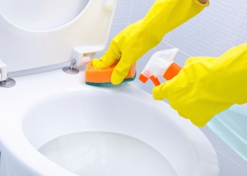 How to (properly) clean the toilet